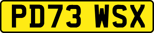 PD73WSX