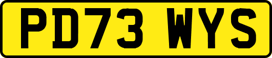 PD73WYS