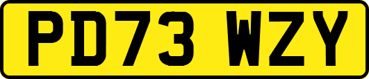 PD73WZY