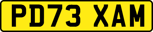 PD73XAM