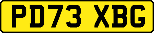 PD73XBG