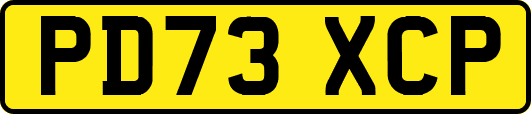 PD73XCP