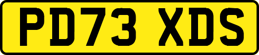 PD73XDS