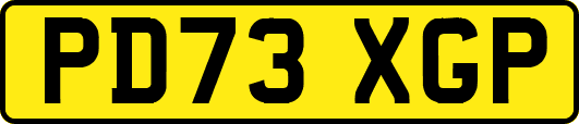 PD73XGP