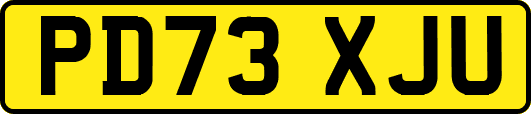 PD73XJU