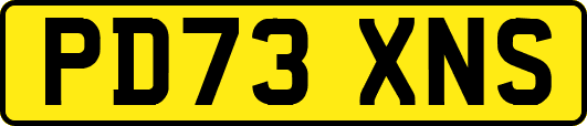 PD73XNS