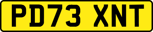 PD73XNT