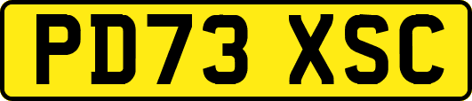 PD73XSC
