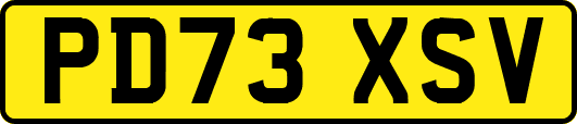 PD73XSV