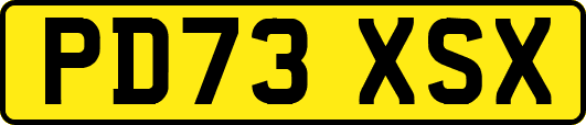 PD73XSX