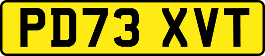 PD73XVT
