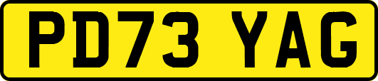 PD73YAG