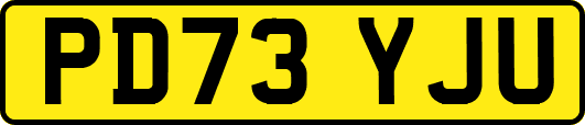 PD73YJU
