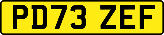 PD73ZEF