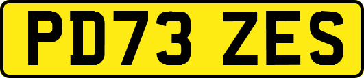 PD73ZES