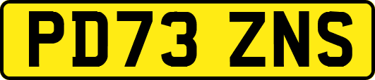 PD73ZNS