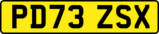 PD73ZSX