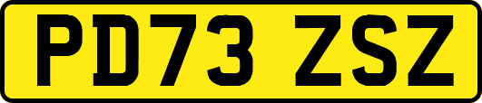 PD73ZSZ