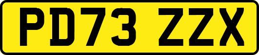 PD73ZZX