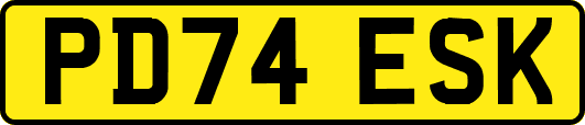 PD74ESK