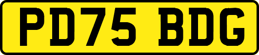 PD75BDG