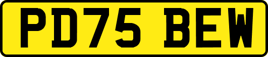 PD75BEW
