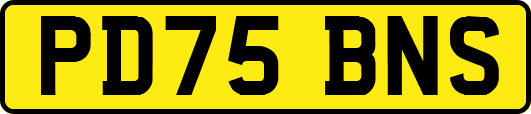 PD75BNS