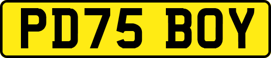 PD75BOY