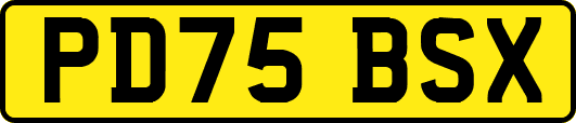 PD75BSX