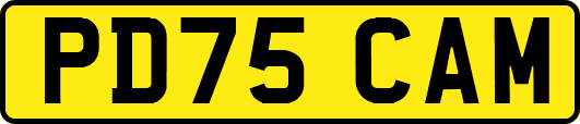 PD75CAM