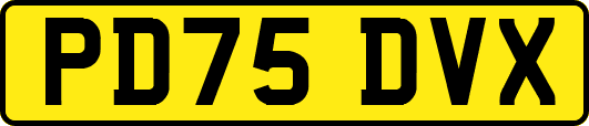 PD75DVX