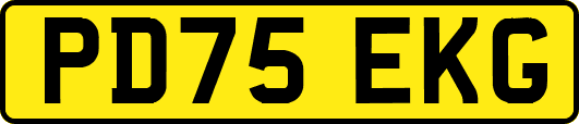 PD75EKG