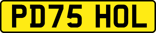 PD75HOL