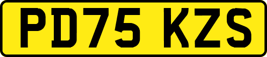 PD75KZS