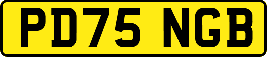 PD75NGB
