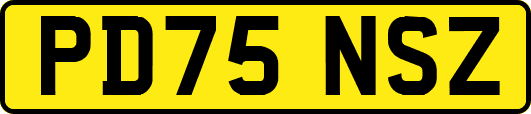 PD75NSZ