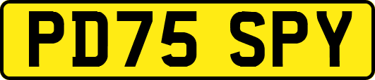 PD75SPY