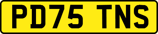 PD75TNS