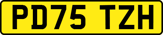 PD75TZH