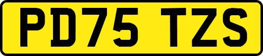 PD75TZS