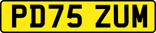 PD75ZUM