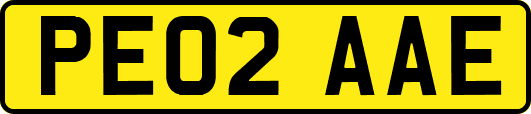 PE02AAE
