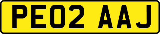 PE02AAJ