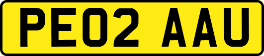 PE02AAU