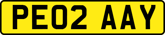 PE02AAY