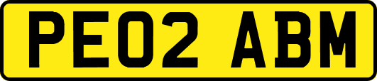 PE02ABM