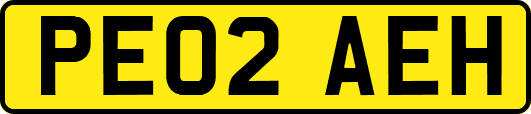 PE02AEH