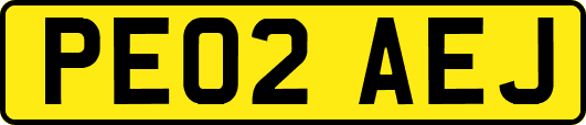 PE02AEJ