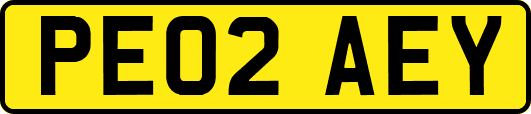 PE02AEY