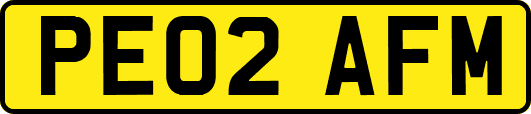 PE02AFM